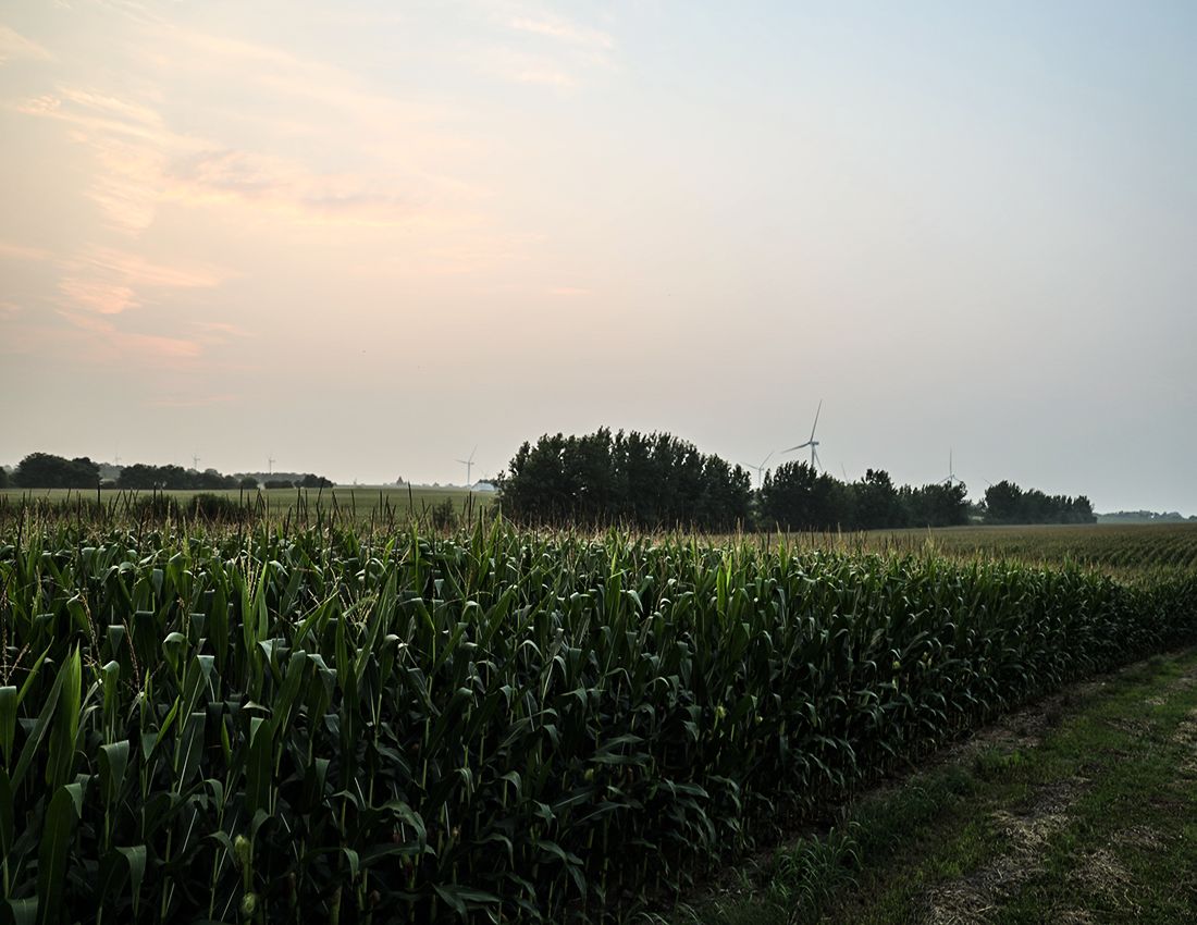Listing Photo: Lee County Farmland